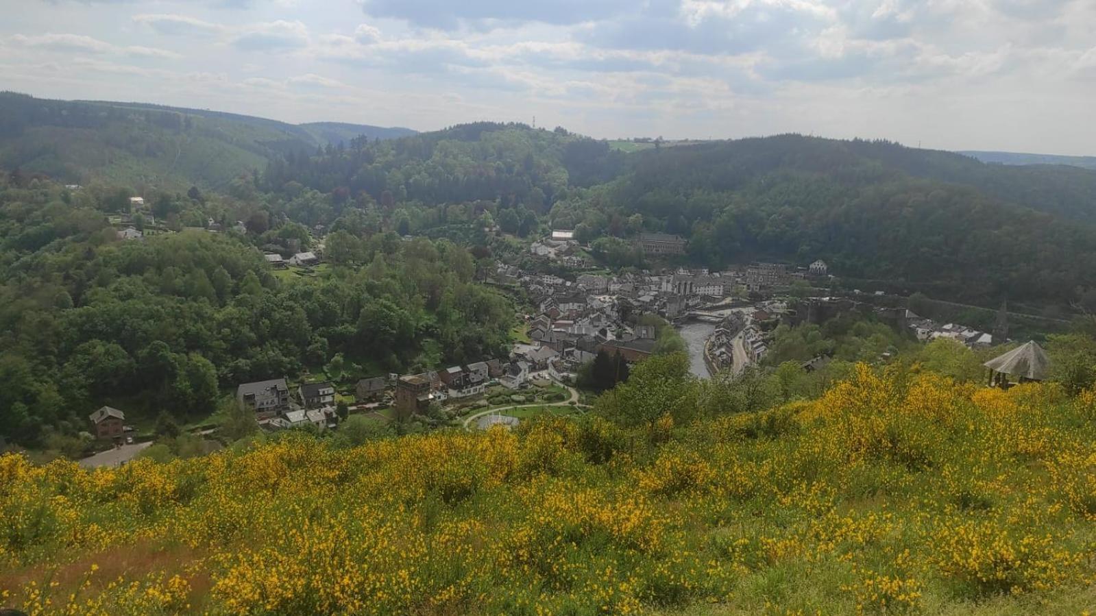 Le Panorama Villa La-Roche-en-Ardenne Bagian luar foto