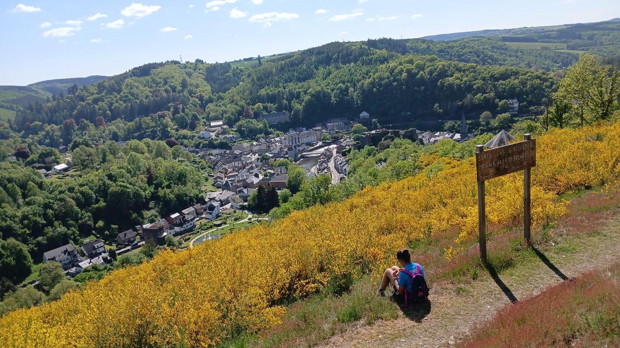 Le Panorama Villa La-Roche-en-Ardenne Bagian luar foto